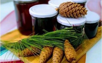 Çam Kozalak Pekmezi