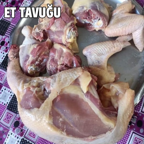 Köy Tavuğu Köy Tavuğu