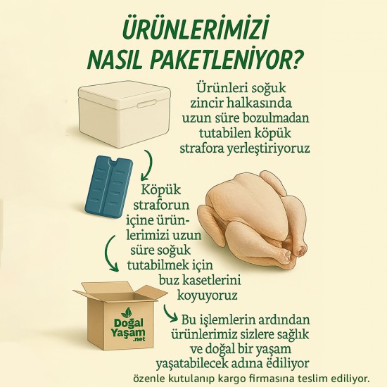 Köy Tavuğu Köy Tavuğu