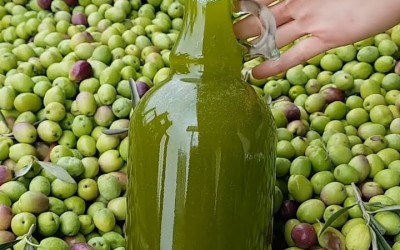 Soğuk ve sıcak Sıkım  Zeytinyağı Arasındaki Fark Nedir?