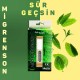 Migren Son