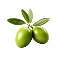 Zeytin 6